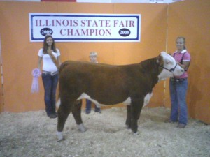 state_fair_gold_load