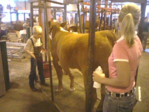 state_fair_grooming